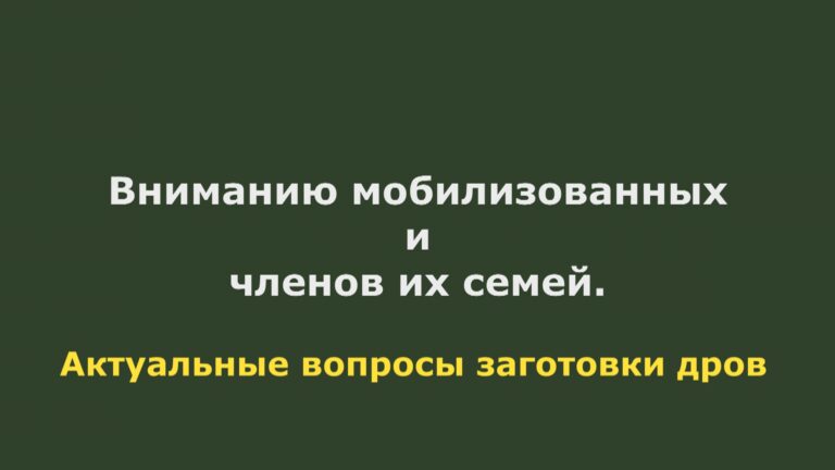 мобилизованные-заготовка-дров