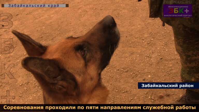 Изображение25-1
