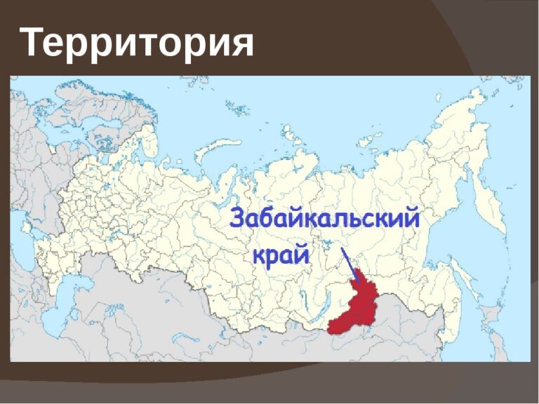 1640323425_365362_url-1