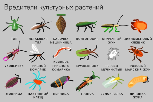 41d5709bb56865f19b3d