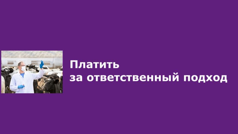 &Изображение33