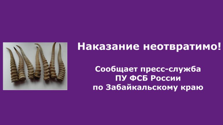 &Изображение34