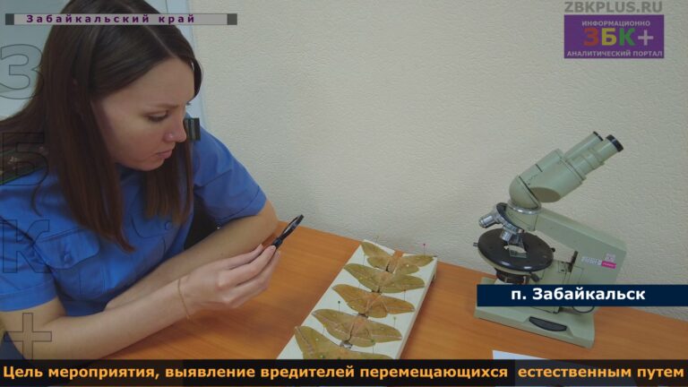 &Изображение16