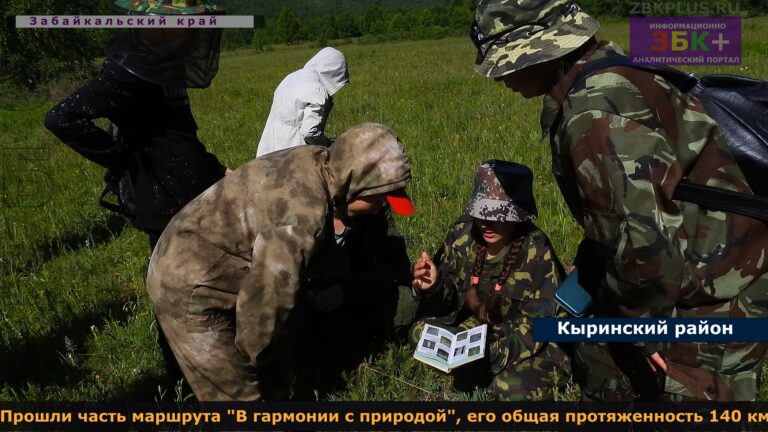 &Изображение43
