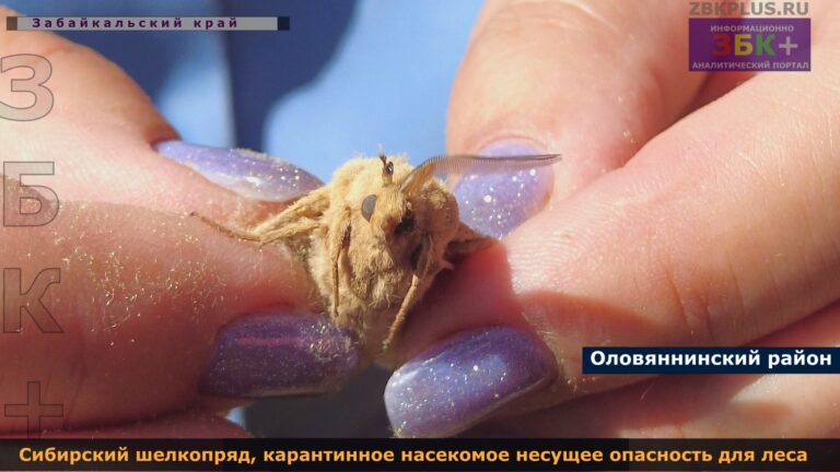 &Изображение12