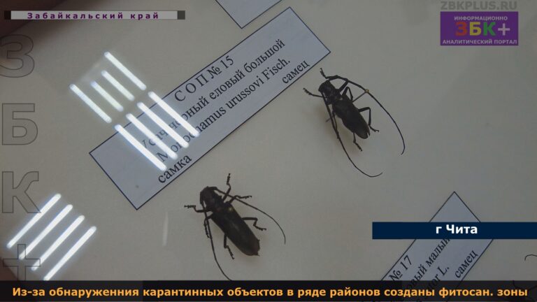 усачм Россельхознадзор