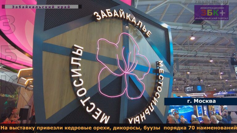 Выставка в Москве ВДНХ