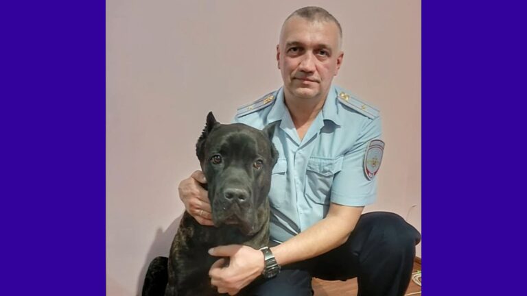 Полицейский собака Дик