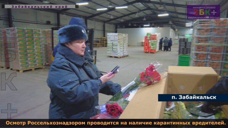 Россельхознадзор цветы досмотр