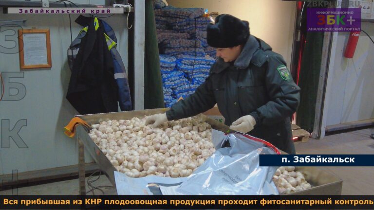 россельхознадзор фитосанитарный контроль