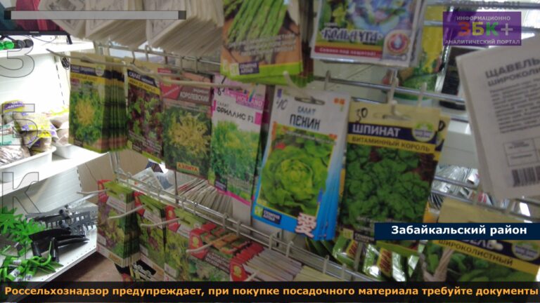 Россельхознадзор семена 2024 3