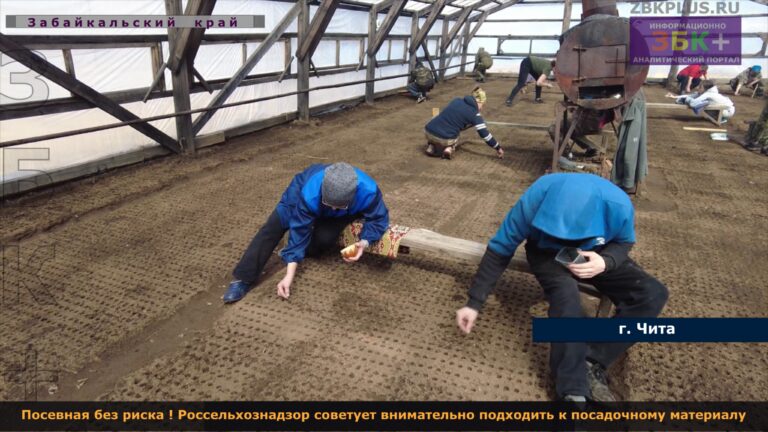 Посевная спк кенонский 2024 год.jpg 1