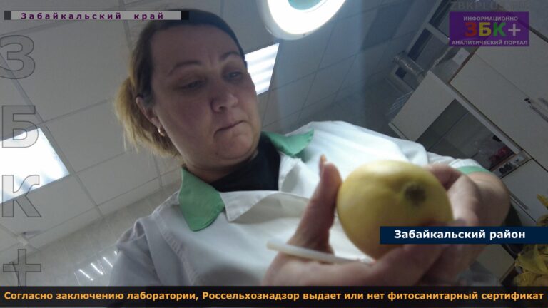 Россельхознадзор кцокз червей комстока 1