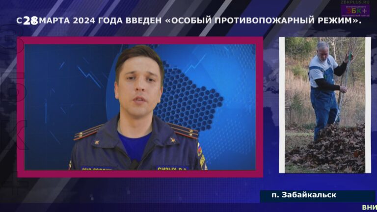 СИЗЫХ ДОЗНАВАТЕЛЬ ПОЖАРНОЙ СЛУЖБЫ