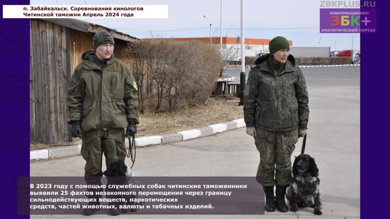 Читинская таможня соревнований кинологов 1