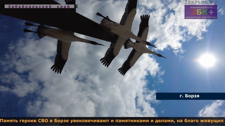 Борзя открытие стелы участникам СВО