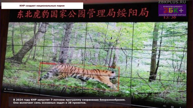 КНР создает национальные парки