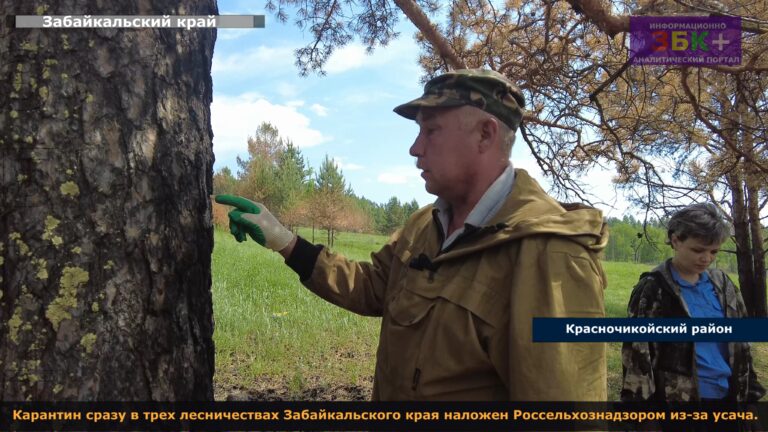 Россельхознадзор усач карантин