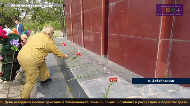 День ветеранов боевых действий 3
