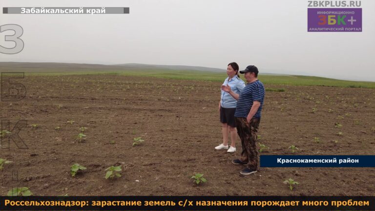 Россельхознадзор зарастание земель сельхозназначения 3