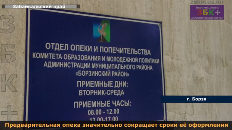 Борзя опека и попечительство