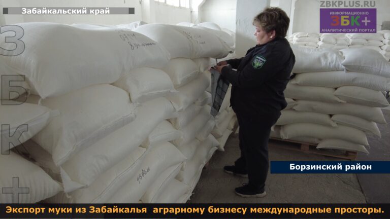 Мука Забайкальская на экспорт 3