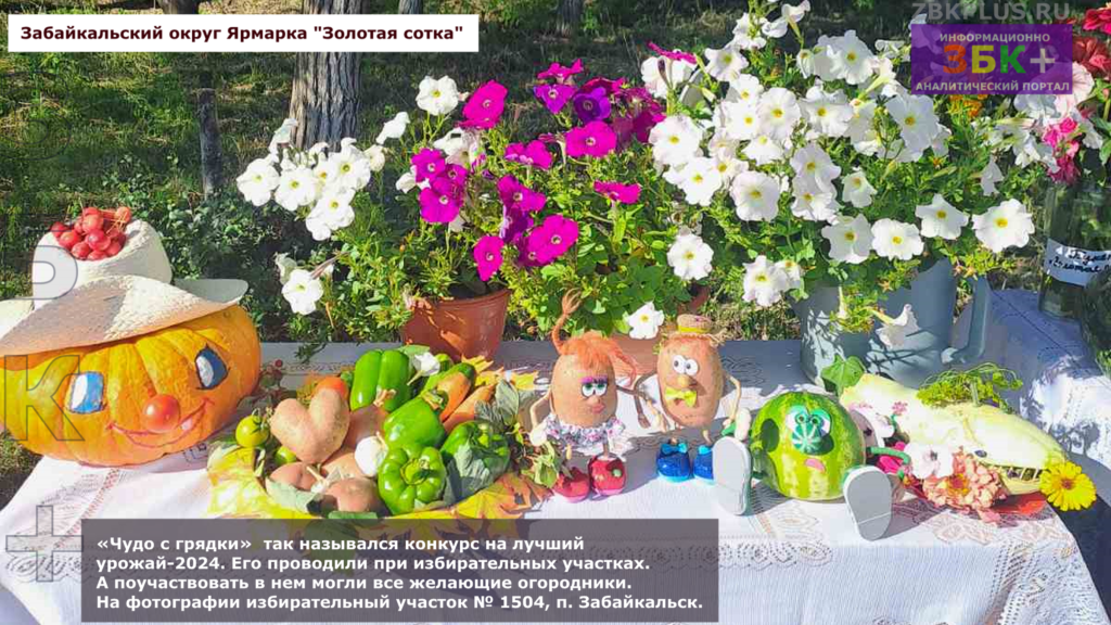 Золотая сотка выставка плодов с огородов 1