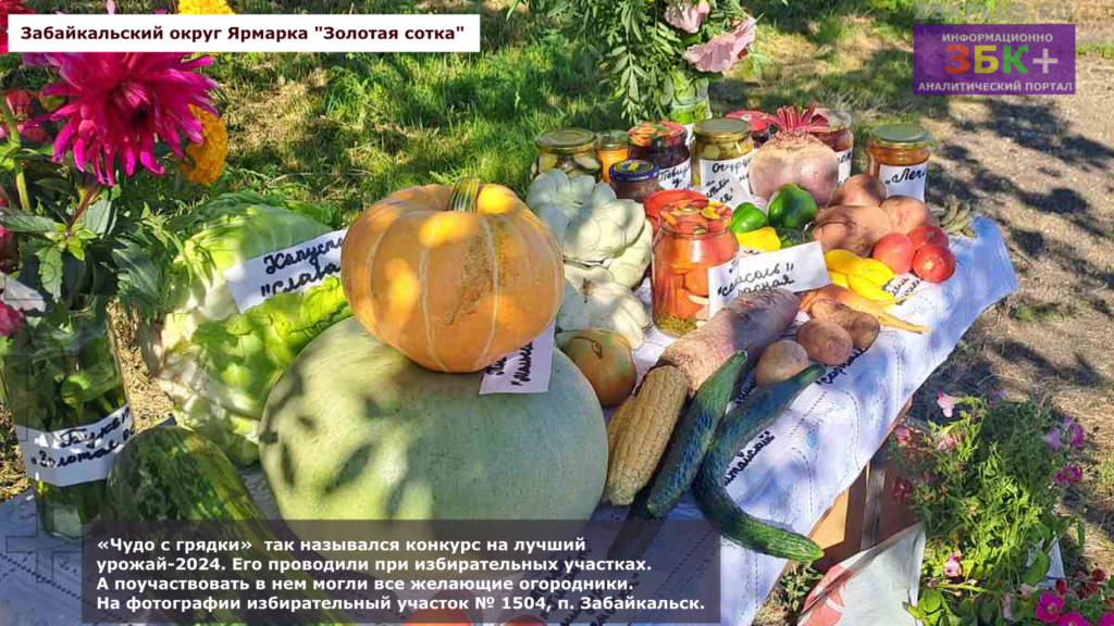 Золотая сотка выставка плодов с огородов 2