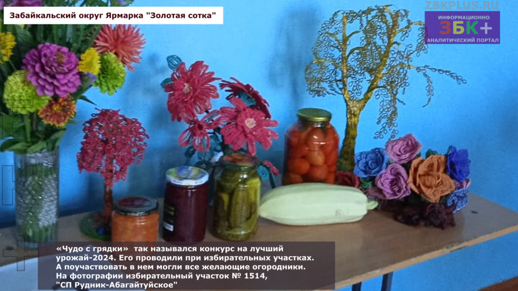 Золотая сотка выставка плодов с огородов 3