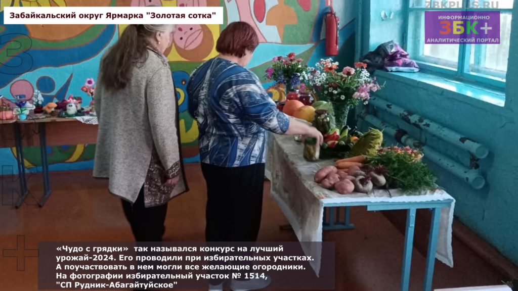 Золотая сотка выставка плодов с огородов 4