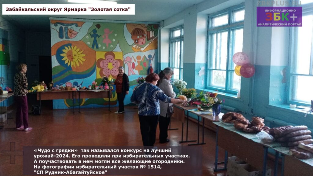 Золотая сотка выставка плодов с огородов 6