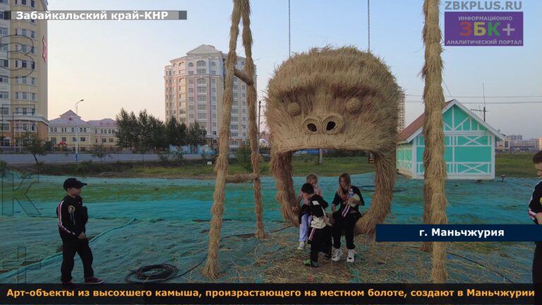 Маньчжурия арт объекты из камыша парк