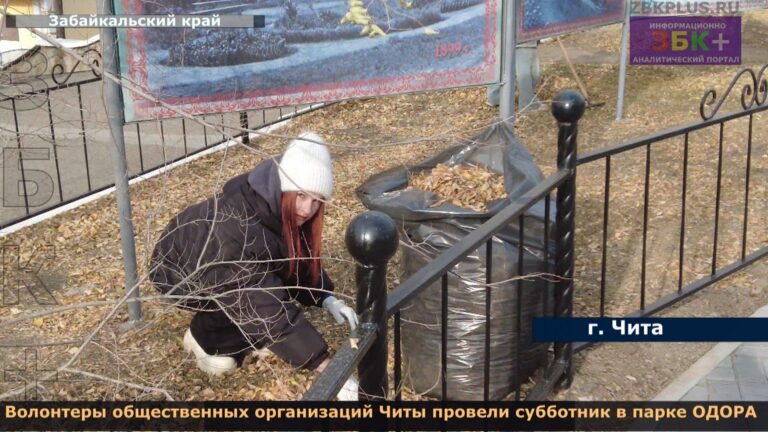 Чита ОДОРА волонтеры