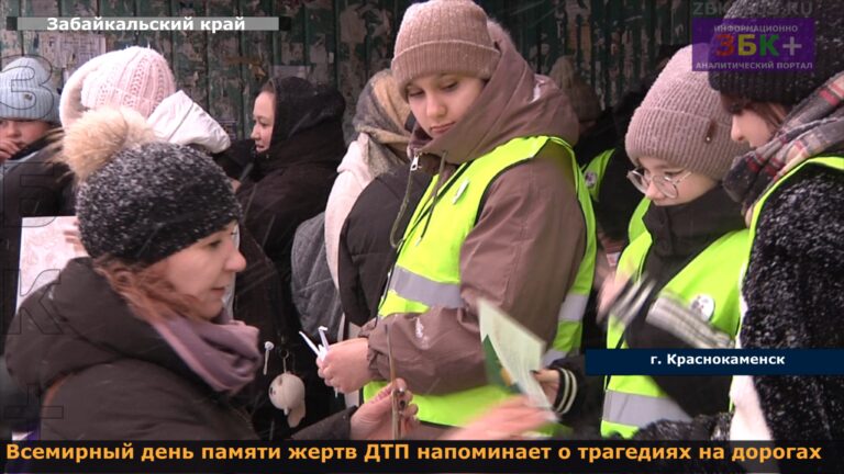 Краснокаменск акция Белый журавлик