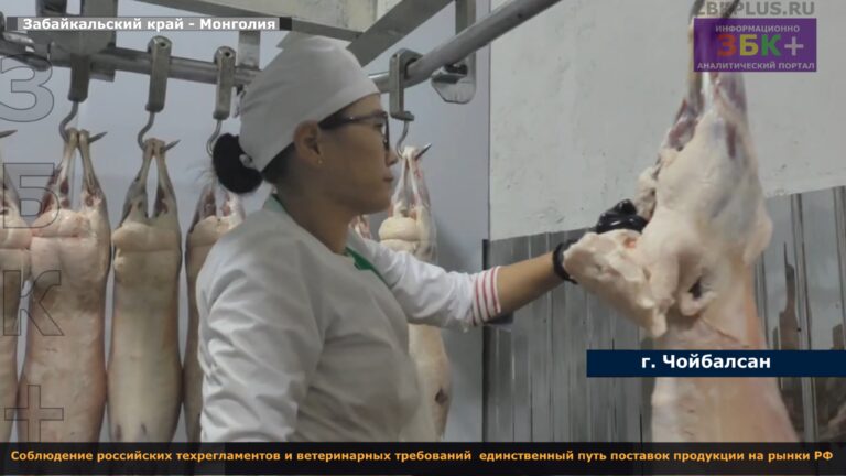 Монголия Мясокомбинат