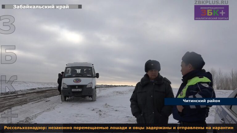 Россельхознадзор незаконное перемещение лошадей и овец