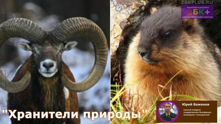 Хранители природы Кодар с Баженовым