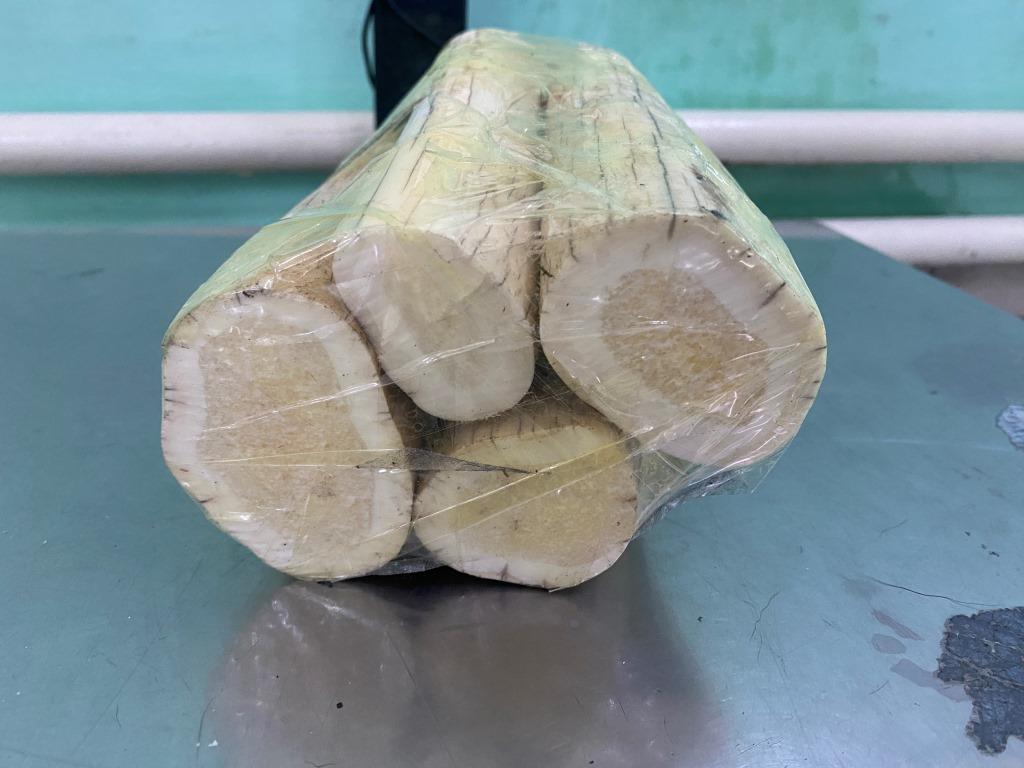 Бивни моржа