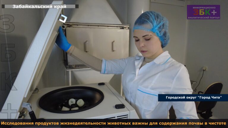 Чита Исследования продуктов жизнедеятельности животных