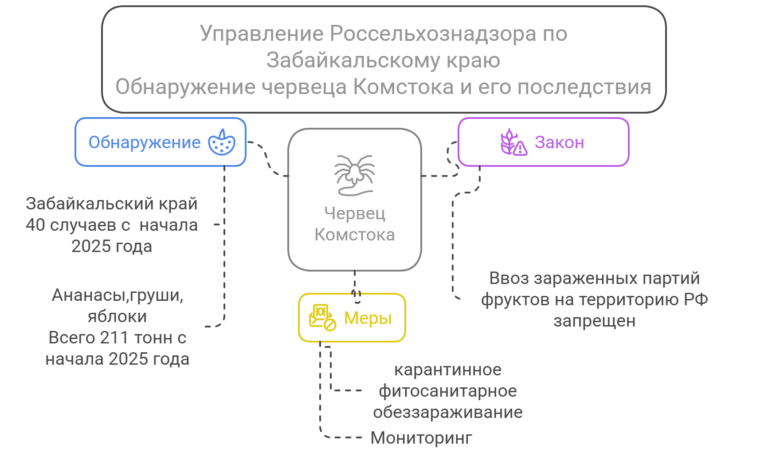 Россельхознадзор динамика  выявления Червеца Комстока