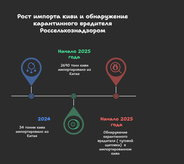 динамика завоза киви из КНР в Россию