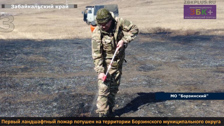 МО Борзинский ландшафтный пожар 2025