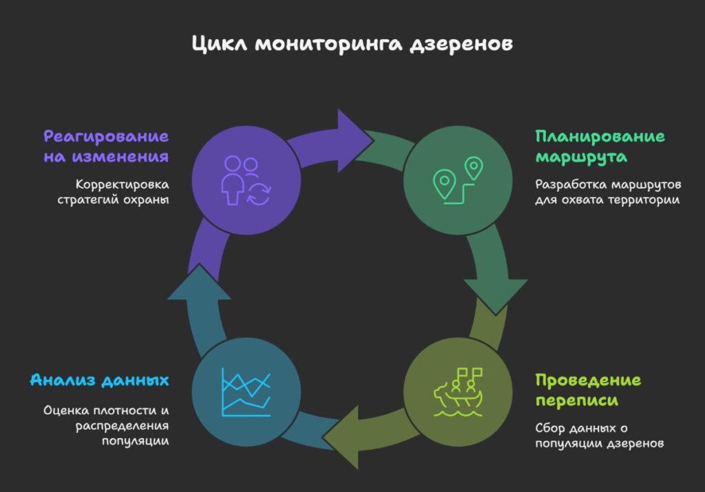 Цикл мониторинговых мероприятий по учёту Дзерена
