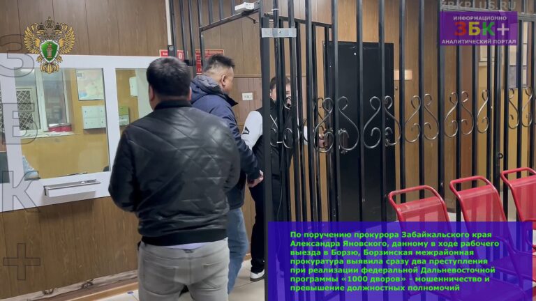 Прокуратура в борзе программа 1000 дворов