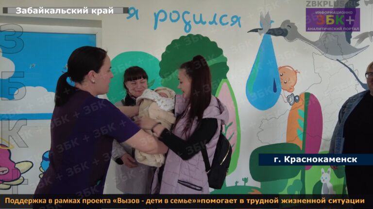 помощь в рамках проекта вызов 1