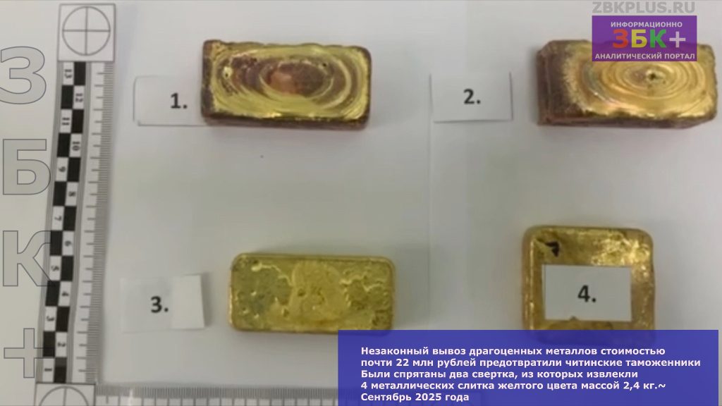 Читинская таможня контрабанда золота - 4