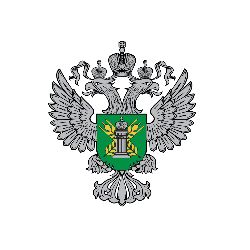 Track Miniature