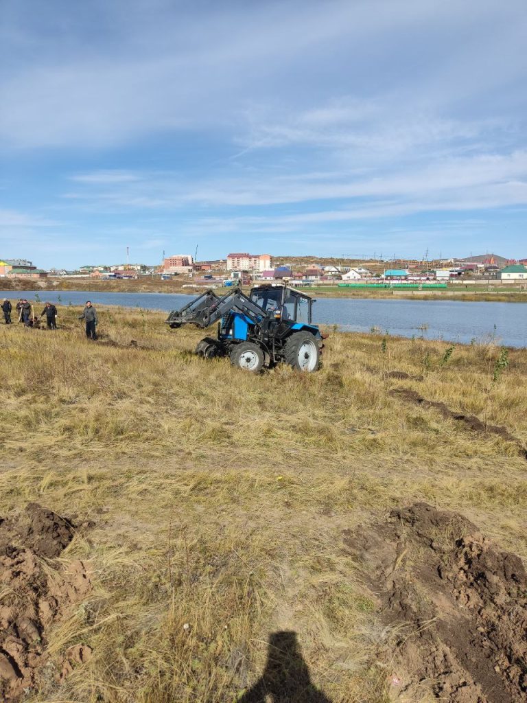 Озеленение территории в Забайкальске-3