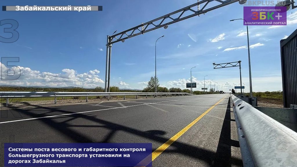 Сиситемы весового контроля