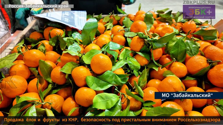 Россельхознадзор предновогодние хлопоты-2